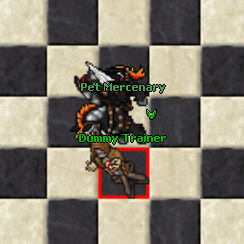 PetMercenaryExoriGran.gif