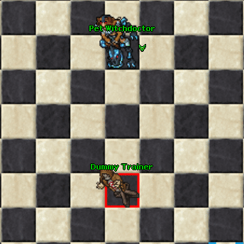 PetWitchdoctorBasicBase.gif