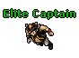 Elite Captain.gif