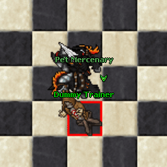 PetMercenaryExori.gif