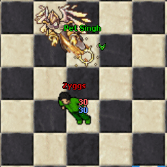 PetSinghHealMaster.gif