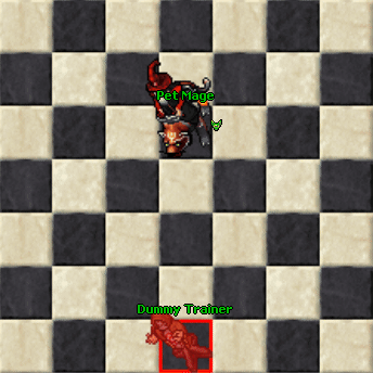 PetMageBasicBase.gif