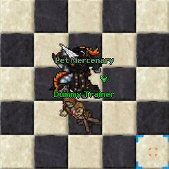 PetMercenaryBasicBase.gif