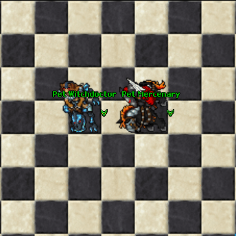 PetWitchdoctorVitaSioPet.gif