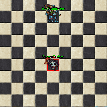 PetWitchdoctorStoneShower.gif