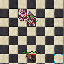 PetBeteBasicBase.gif