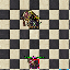 PetBipbopAltiliumMaxBop.gif
