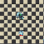 PetMedvedBomb.gif