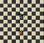 PetWitchdoctorExevoGranMasTera.gif