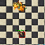PetBlazeExuraGran.gif