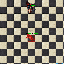 PetMageThunderstorm.gif