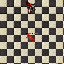 PetMageGFB.gif