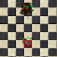 PetArcherExoriConHur.gif