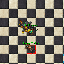 PetLuxnoxLuxMaster.gif