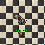 PetLuxnoxNoxMaster.gif