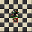 PetMercenaryExoriMas.gif