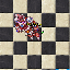 PetBeteExuraVita.gif