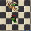 PetSinghHealMaster.gif