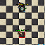PetWitchdoctorExuraVita.gif