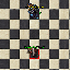 PetWitchdoctorExuraGran.gif