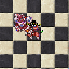 PetBeteExuraGran.gif