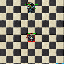 PetWitchdoctorStoneShower.gif