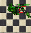 PetReptilianExetaRes.gif