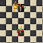 PetBlazeExuraVita.gif