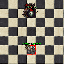 PetArcherExuraSan.gif