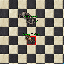PetLuxnoxNoxBomb.gif