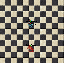 PetWitchdoctorExevoGranMasFrigo.gif